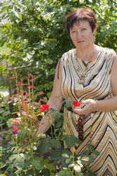 Similar image 181861