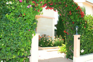 Similar image 181890