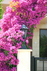 Similar image 181896