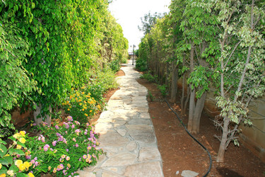 Similar image 181910