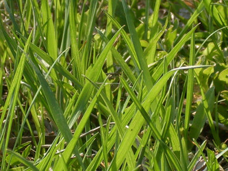 Similar image 181932