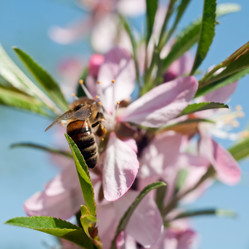 Similar image 181935