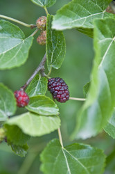 Similar image 181942