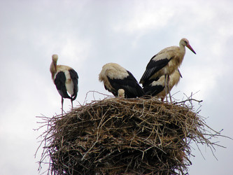 Similar image 181994