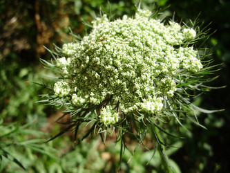 Similar image 182086