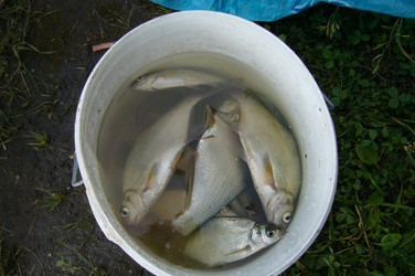 Similar image 182091