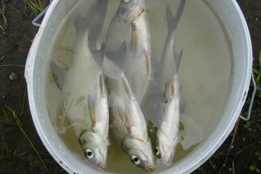 Similar image 182092