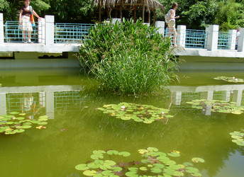 Similar image 182097