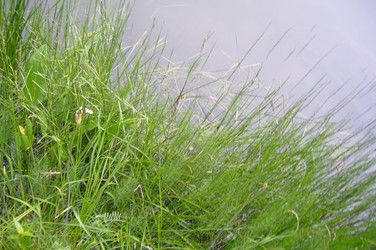 Similar image 182098