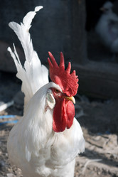 Similar image 182130