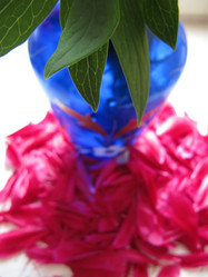 Similar image 182145