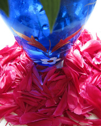 Similar image 182146