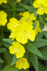 Similar image 182149