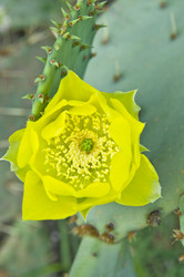 Similar image 182151