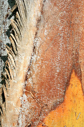 Similar image 182154