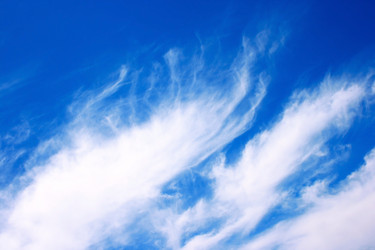 Similar image 182165