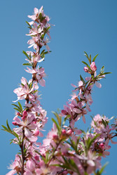 Similar image 182215