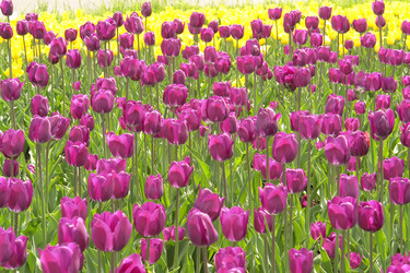 Similar image 182221