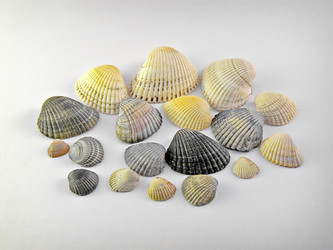 Similar image 182225