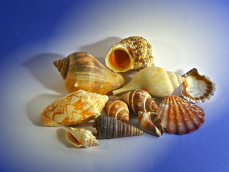 Similar image 182226