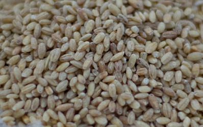 Similar image 182227