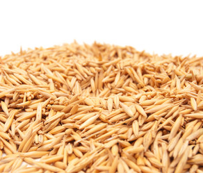 Similar image 182228