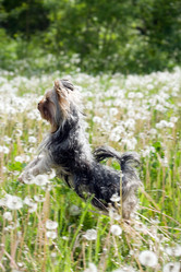 Similar image 182231