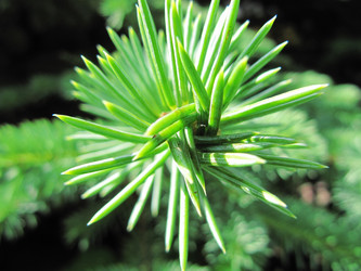 Similar image 182282