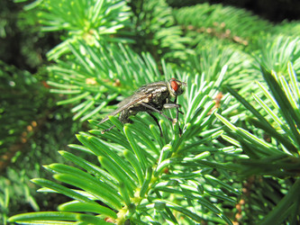 Similar image 182283