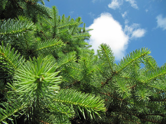 Similar image 182284