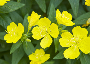 Similar image 182287