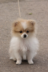 Similar image 182303