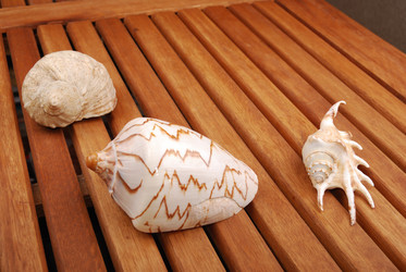 Similar image 182319