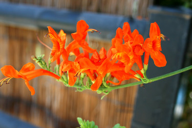 Similar image 182326