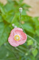 Similar image 182345