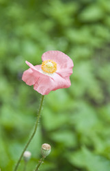 Similar image 182346