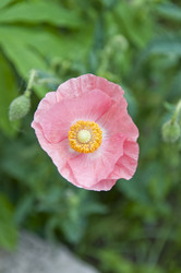 Similar image 182347