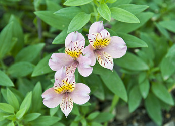 Similar image 182349