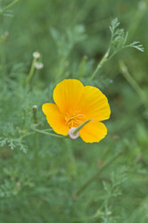 Similar image 182350