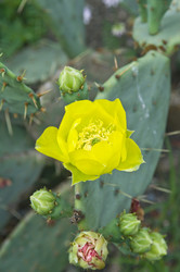 Similar image 182352