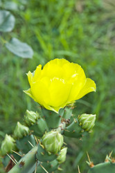 Similar image 182353