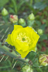 Similar image 182354