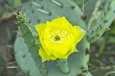 Similar image 182355