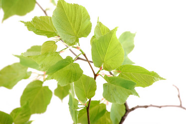 Similar image 182429