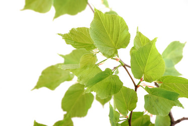 Similar image 182430