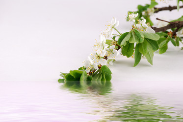 Similar image 182431