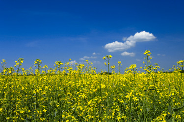 Similar image 182485