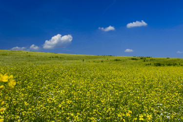 Similar image 182486