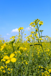 Similar image 182488