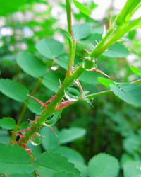 Similar image 182526